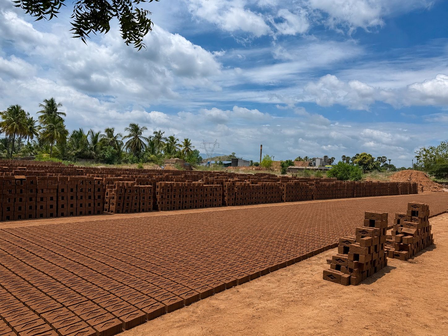 BMC brick drying yard with thousands of red clay bricks